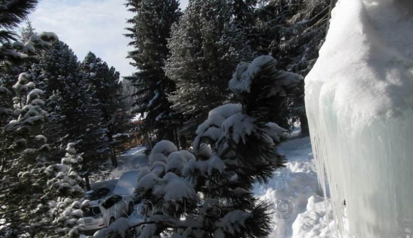 Apartmán Crocus 219 - Štrbské Pleso Vysoké Tatry